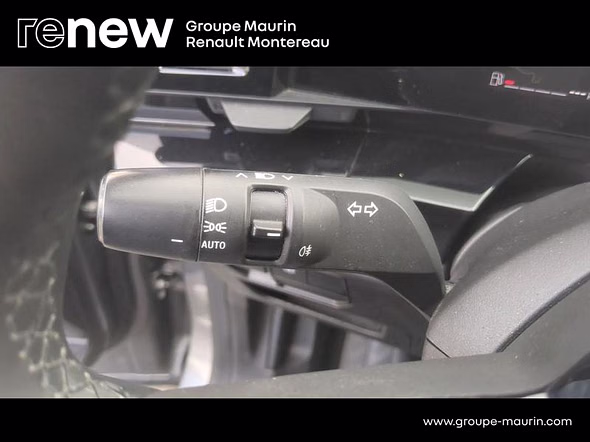 RENAULT Austral 1.2 TCe mild hybrid advanced 130ch Evolution - 23 - Miniature 16